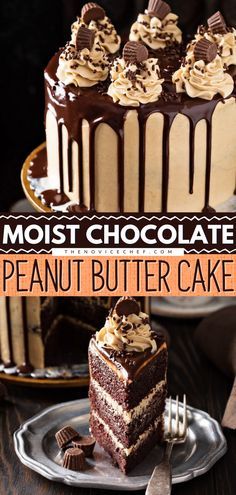 Reeses Peanut Butter Cake, Piniata Cake, Chocolate Peanut Butter Cake Recipe, Peanut Butter Cake Recipe, Peanut Butter Chocolate Cake, Butter Chocolate Cake, Peanut Butter Frosting Recipe, Peanut Butter Sheet Cake, Chocolate Peanut Butter Cake