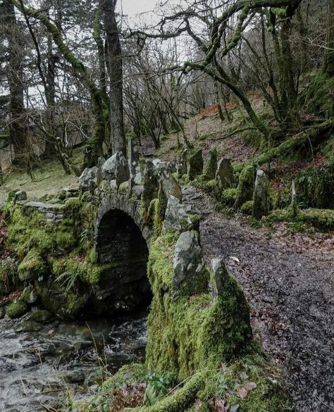 Moss Covered Building, Old Ruins Architecture, Medevial Aesthetic, Ruin Garden, Scary Landscape, Edge Of Forest, Forest Ruins, Moss Aesthetic, Jungle Ruins