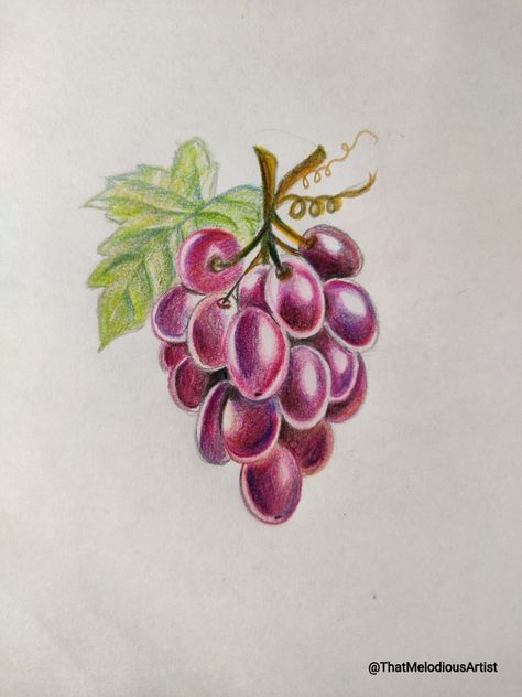 Easy grapes drawing Grapes Drawing Easy, Grape Drawing Simple, Grapes Drawing, Grape Drawing, Grape Water, Fruit Fruit, Crayon Drawings, Animal Drawings Sketches, Sketchbook Art