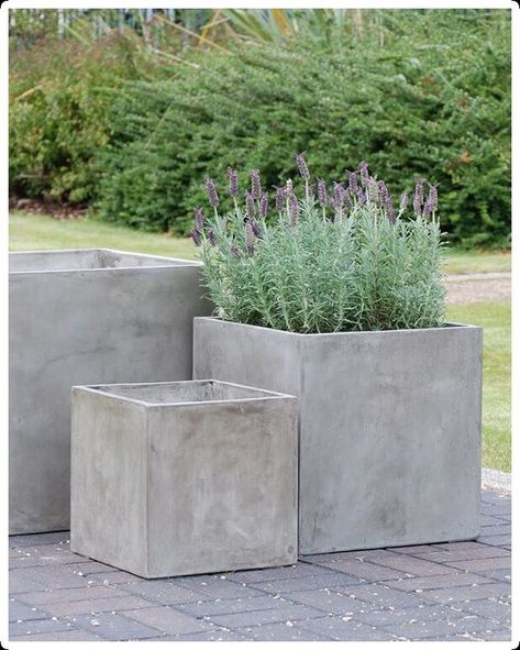 [CommissionsEarned] 91 Top Large Garden Planters Advice To Find Out 2022 #largegardenplanters Garden Boxes Ideas, Concrete Planter Boxes, Large Garden Planters, Diy Cement Planters, Funny Vine, Diy Garden Patio, Garden Boxes Diy, Boxes Ideas, Garden Patio Decor