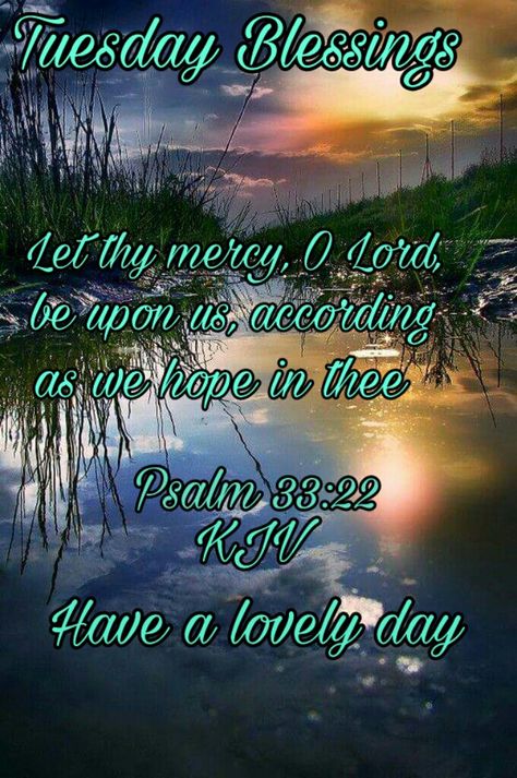 TUESDAY BLESSINGS: Psalm 33:22 (1611 KJV !!!!) HAVE A LOVELY DAY !!!! Tuesday Scripture Blessings Kjv, Tuesday Blessings Scripture, Tuesday Scripture, Have A Blessed Tuesday, Afternoon Blessings, Scripture Blessings, Blessed Tuesday, Tuesday Quotes Good Morning, Tuesday Blessings