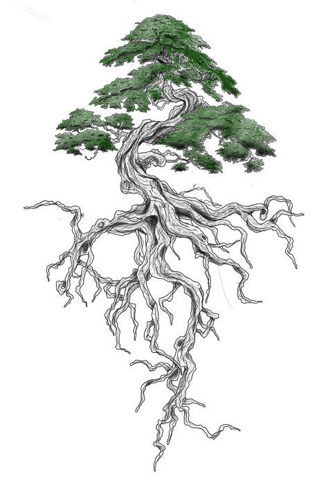 Kapok Tree Drawing, Desert Tree Tattoo, Wisdom Tree Tattoo, Spine Tree Tattoo, Bonsai Tattoo Design, Flower With Roots Tattoo, Tree Trunk Tattoo, Bodhi Tree Drawing, Dryad Tattoo