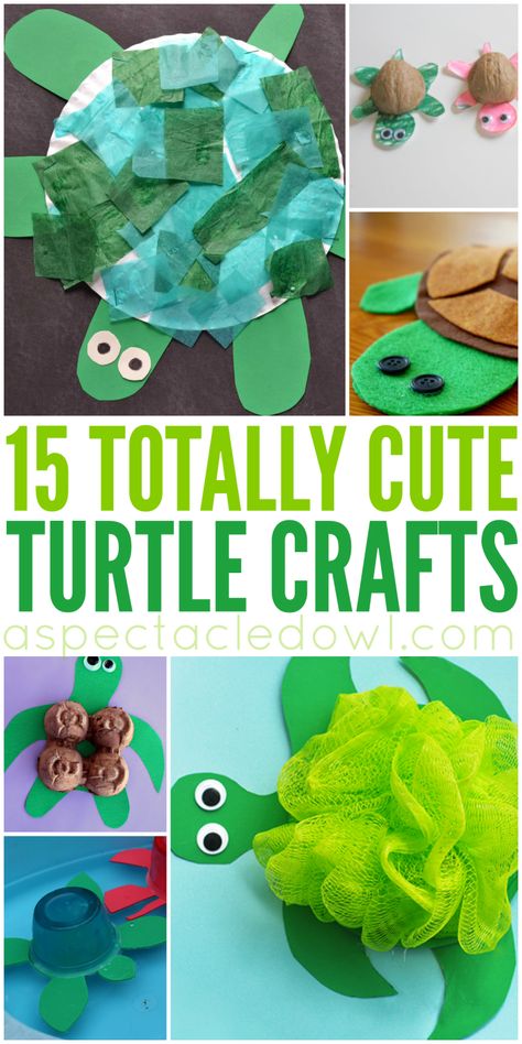 15 Totally Cute Turtle Crafts for Kids - A Spectacled Owl Turtle Crafts For Kids, Turtle Classroom, Spectacled Owl, Turtle Activities, To My Grandma, Turtle Crafts, Crafts For Toddlers, Kid Friendly Crafts, Cute Turtle