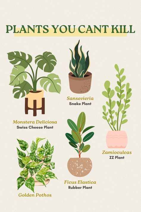 When gardeners go gardening they come across many plants. There are vegetables, small trees, herbs, and shrubs that can be planted in indoor settings as… Inner Plants Decor, How To Have A Green Thumb, Easy Indoor Plants For Beginners, Hobbit Lifestyle, Plant Placement In Home, Easy Plants To Grow Indoors, House Plants For Beginners, House In The Suburbs, Gardening At Home