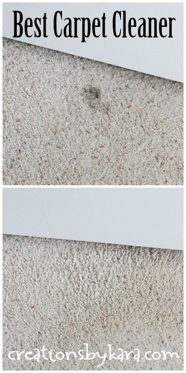 Homemade Carpet Cleaning Solution, Messy People, Clean Carpet, Carpet Cleaning Solution, Spot Remover, Carpet Cleaning Hacks, Cheap Carpet, Household Cleaning Tips, Diy Carpet