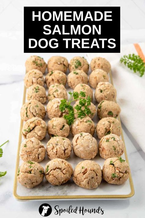 Salmon Treats For Dogs, Homemade Salmon Dog Food Recipes, Long Lasting Dog Treats Homemade, Easy Healthy Salmon, Salmon Dog Treats, Pup Treats, Pet Bakery, Dog Treats Recipe, Animal Treats