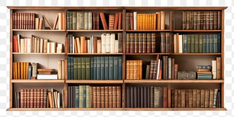 Autumn Library, Bookshelves With Books, Bookshelf Library, Shelf For Books, Library Cafe, Bookcase White, Office Bookshelves, Library Bookshelves, White Bookcase