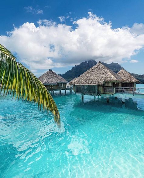 Island Huts Tropical, Travel By Yourself, Huts On The Water, Traveling By Yourself, 2023 Mood, Sea Aesthetic, Water Villa, 2025 Wedding, Tiki Hut