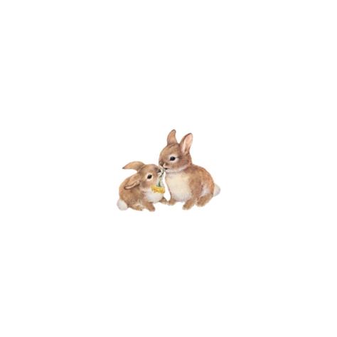 Small Bunnies, Bunnies Cute, Cute Kiss, Vintage Png, Magazine Collage, Iphone Case Stickers, Nature Stickers, Iphone Homescreen Wallpaper, Vintage Bunny