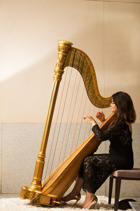 Playing The Harp, Harp Player, Harp Music, Harp Aesthetic, Alice Coltrane, Celtic Harp, Harps Music, Indian Classical Music, Musician Photography