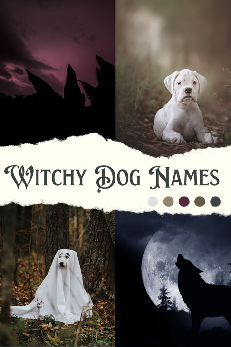 witchy dog names Scary Names For Dogs, Goth Dog Names, Fantasy Pet Names, Witchy Pet Names, Witchy Dog Names, Dog Names Aesthetic, Magical Names For Characters, Female Dog Names Unique List, Aesthetic Pet Names