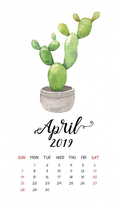 Cactus Ideas, 2019 Wallpaper, Turquoise Watercolor, Calendar June, Calendar Pictures, Watercolour Texture Background, Watercolor Circles, Calendar 2019, Cute Cactus