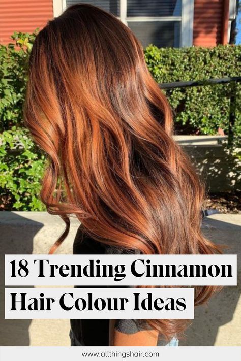 Treading Hair Colour, Copper Cinnamon Hair, Cinnamon Hair Colour, Cinnamon Melt Hair, Cinnamon Hair Color Brown, Warm Cinnamon Hair Color, Cinnamon Colored Hair, Cinnamon Copper Hair Color, Cinnamon Hair Dye