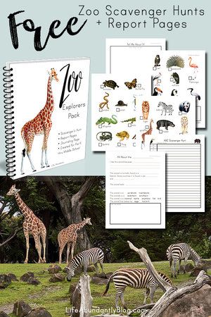 Freebies — Life, Abundantly Zoology Activities For Preschool, Homeschool Zoo Trip Activities, Zoo Activities For Middle School, Zoo Homeschool Trip, Preschool Homeschool Units, Zoo Animal Unit Study, Zoo Unit Study, Homeschool Zoo Trip Free Printable, Zoo Field Trip Activities Free Printable