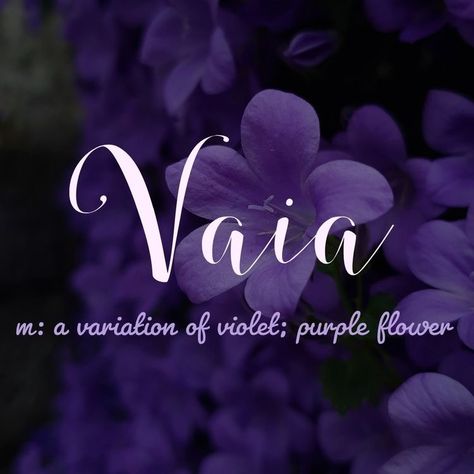 Name Vaia Southern Baby Names, Female Character Names, Meaningful Names, Best Character Names, Fantasy Names, Aesthetic Names, Pretty Names, Name Inspiration, Unusual Words