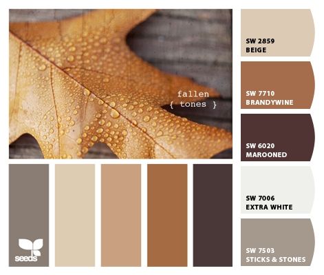 Paint colors from Chip It! by Sherwin-Williams.  For the upstairs guest room Smart Tiles, Room Color Schemes, Cat Air, Brown Living Room, Color Palate, Design Seeds, Natural Home Decor, Cool Ideas, Living Room Colors