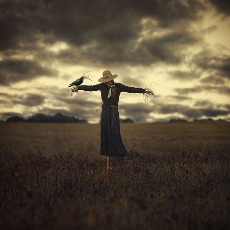 Macabre Photoshoot, Scarecrow Photoshoot, Surreal Portraits, Creepy Pics, Halloween Costumes Women Scary, Scary Scarecrow, Scarecrows For Garden, Halloween Shoot, Scare Crow