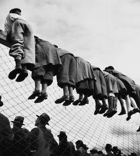 By Emil Heilborn. (At the dog Races - 1930s). Funny Vintage Photos, Herb Ritts, Elliott Erwitt, Awkward Photos, Paolo Roversi, Robert Doisneau, Cheetahs, Black White Photos, Vintage Humor