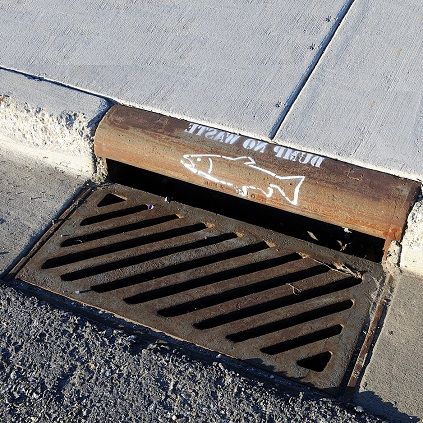 Storm Water Drain, Roof Drain, Storm Drain, Flooded House, Civil Engineering Design, Manhole Cover, Plumbing Emergency, Yard Design, Engineering Design