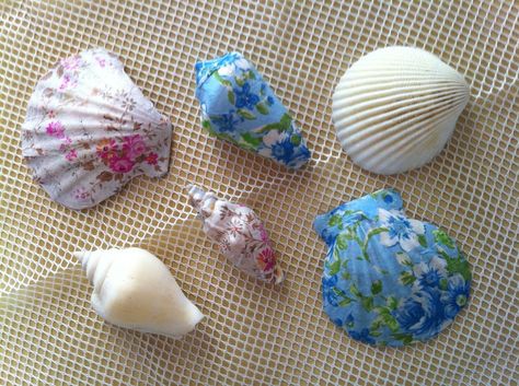 Shell Magic, Sea Life Crafts, Decoupage Shells, Ocean Theme Crafts, Beachy Stuff, Shell Painting, Shell Ideas, Clam Shells, Coastal Christmas Decor