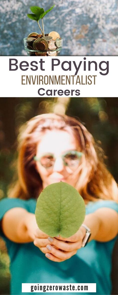 As we push towards a more sustainable future, environmentalist jobs continue to see an increase in demand. For example, according to the U.S. Department of Energy’s Office of Energy Efficiency and Renewable Energy, clean energy jobs represent one of the fastest growing sectors of the economy. This mean your new job could end up being in this field! Environmental Science Jobs, Environmental Careers, Environmental Jobs, School Jobs, College Planning, Money Makers, Job Career, Sustainable Future, Simple Green