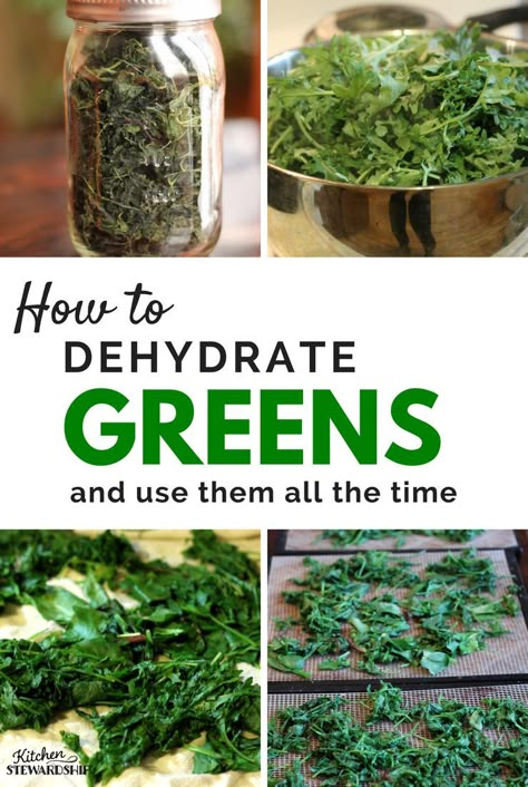 Need to preserve spring greens like kale, spinach or Swiss chard? Dehydrating is the easiest process imaginable PLUS how to make DIY green powder for smoothies! Freeze Dyer, Dehydrated Spinach, How To Dehydrate Green Peppers, How To Preserve Swiss Chard, Dehydrating Kale In Dehydrator, Drying Fresh Herbs In Dehydrator, Dehydrated Herbs In Dehydrator, Dehydrating Swiss Chard, How To Dehydrate Herbs In Dehydrator