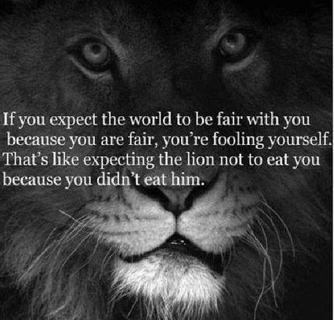 Don't expect the lion not to eat you! One Sentence Quotes, A Lion, Quotable Quotes, Be Free, Amazing Quotes, True Words, Great Quotes, Inspirational Words, Cool Words