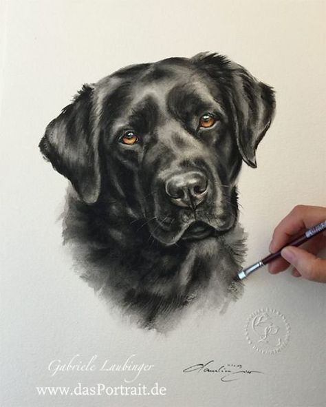 Painting Clipart, Dogs Watercolor, Cat And Dog Drawing, Watercolor Dogs, Lab Art, Dog Watercolor Painting, Black Labs Dogs, Dog Portraits Painting, Black Labrador Dog