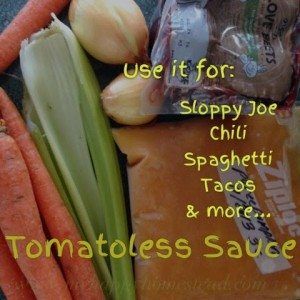 Tomatoless Pasta Sauce Whals Protocol, Nightshade Recipes, Tomato Sauces, Nightshade Free Recipes, Dinner Specials, Lectin Free Diet, Paleo Sauces, Gerd Diet, Autoimmune Diet