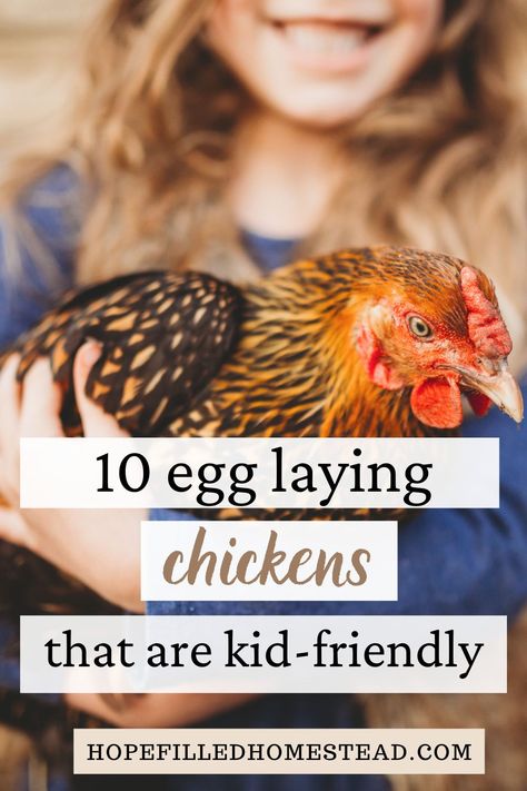 Chicken Coop Names, Friendly Chicken Breeds, Chicken Housing, Chicken Breeds For Eggs, Chicken Breeds With Pictures, Best Chicken Breeds, Raising Chickens For Beginners, Chickens Backyard Breeds, Laying Chickens Breeds