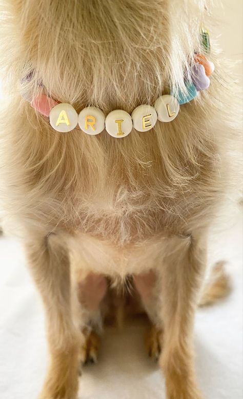 Pastel rainbow beads necklace for dogs, dog beaded collar, personalized collar, accessories for dog, dog pearls, dog collar personalized designer collars, jewelry for dog, fashion dog, stylish dog, dog trends, dog must have, birthday dog gift ideas, puppies jewelry Dog Cute Accessories, Preppy Dog Outfits, Dog Collar Handmade, Charms For Dog Collar, Dog Jewelry For Dogs, Dog Beads Collar, Friendship Bracelet Dog Collar, Dog Necklace Beads, Cute Collars For Dogs