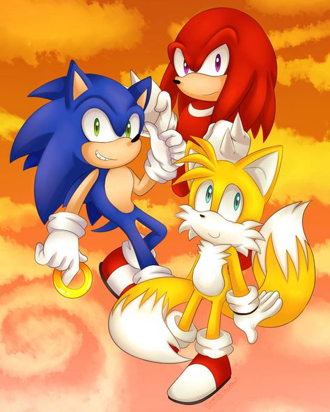 Team Sonic Heroes by SonicForTheWin2 Sonic And Tails, Sonic Unleashed, Team Sonic, Hedgehog Movie, Sonic Heroes, Blue Hedgehog, Sonic Adventure, Hedgehog Art, Sonic Fan Art