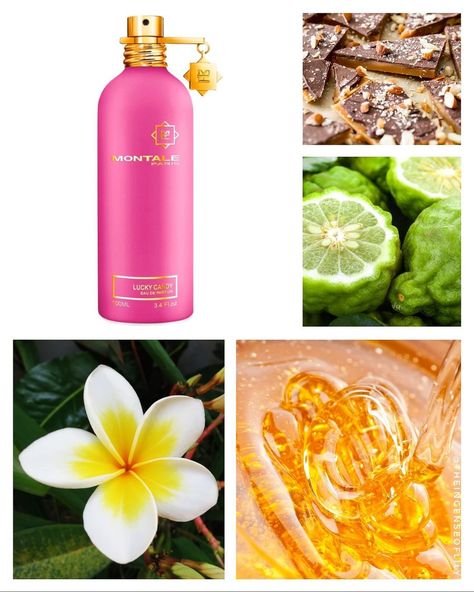 Montale Sweet Vanilla, Killian Apple Brandy Perfume, Nest Madagascar Vanilla Perfume Oil, Maui Fantasy Perfume, Montale Arabians Tonka, Lily Of The Valley, The Valley, Amber, Vanilla