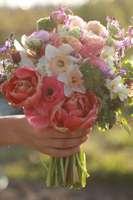 romantique// oh man that is breathtaking Spring Bouquet Tulips, Tulip Daffodil Bouquet, Daffodils Bouquet, Pink Daffodils, Spring Bridal Bouquet, Daffodil Bouquet, Bridal Bouquet Spring, Spring Wedding Bouquets, Bouquet Arrangements