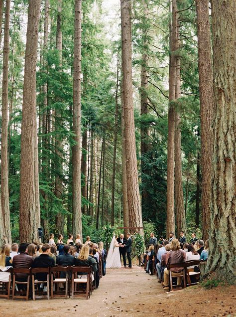 Elegant Al Fresco Forest Wedding in the Pacific Northwest via Magnolia Rouge Kitsap Memorial State Park Wedding, State Park Wedding Ideas, Washington State Wedding Venues, Forest Wedding Venue, Twilight Wedding, Seattle Wedding Venues, State Park Wedding, Forest Theme Wedding, Earthy Wedding