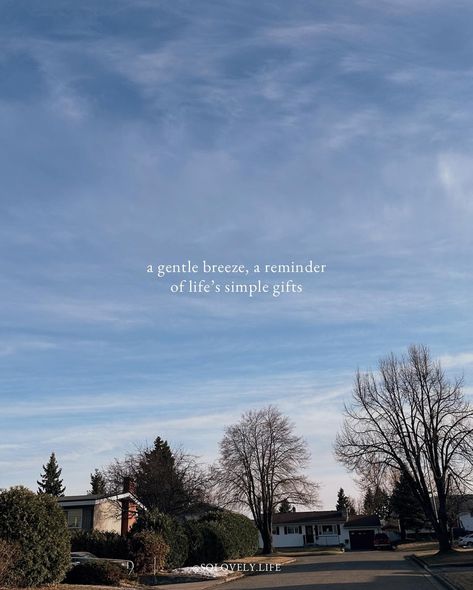 The little things? The little moments? They aren’t little. They’re everything. Tell me something that aren’t little in the comments. #thelittlethings #simplepleasures #cozyvibes #slowliving #slowlife #mindfulness #gratitude #appreciation #joyfulmoments #digitaldiary #peaceandquiet Little Things In Life Aesthetic, Neighborhood Walk, Inspiring Sayings, Tell Me Something, Magical Quotes, The Little Things In Life, Little Things In Life, Mindset Motivation, Missing You So Much