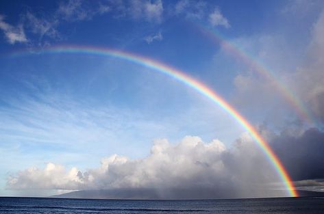 Examples of Dispersion of Light in our daily life - Teachoo Maui Activities, Dispersion Of Light, Jewish Learning, Hebrew School, Maui Travel, Rainbow Photo, Good Credit Score, Vibe Video, Rainbow Connection