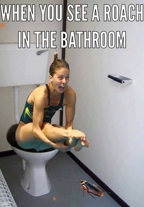 Bathroom Meme, Granite Bathroom Countertops, Ceramic Tile Bathrooms, Concrete Bathroom, Current Mood Meme, Vanity Countertop, Funny Bathroom, Bathroom Countertops, Bathroom Humor