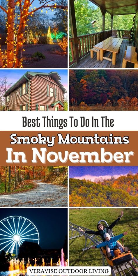 Best Things To Do In The Smoky Mountains In November Smoky Mountain Christmas, Mountain Coaster, Things To Do In Gatlinburg, Ober Gatlinburg, Tennessee Road Trip, Smoky Mountains Tennessee, Mountains Tennessee, Bristol Tn, Mountains Vacation