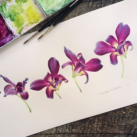 Likely done with some notes about how to deal with the paper!  Since I'll have some private sessions, I leave it now but will look at it again with fresh eyes later this week  . Have a fabulous week, everyone!  . *"Dancing Dendro" of lovely orchids from @ekakaryagf. Orchid Drawing, Orchids Painting, Botanical Painting, Botanical Watercolor, Ink Drawings, Botanical Drawings, Arte Floral, Art Portfolio, Art Journals