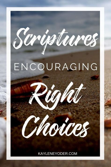 How do you make wise choices and discern your next steps? Use these Bible verses for wisdom to help you choose wisely and follow where God leads. || Kaylene Yoder Best Scriptures, Prayer Topics, Wisdom Scripture, Good Scriptures, Christian Woman Encouragement, Godly Living, Finding Strength, Seek God, Spiritual Warfare Prayers