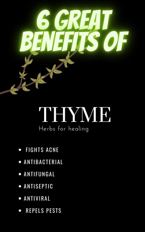 6 great benefits of thyme title, bullet points, black background, photo of thyme herb Shilijat Benefits, Benefits Of Thyme, Thyme Benefits, Herbs For Healing, Health Herbs, Thyme Herb, Great Health, Herbs For Health, Natural Herbs