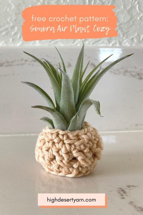 Display your air plants in these adorable "pots" by crocheting this free air plant cozy. #crochet #beginnercrochet #easycrochet #crochetplantpot #airplant #airplantholder #airplantpot Crochet Pot Hanger Free Pattern, Air Plant Display Diy, Air Plant Gift Ideas, Crochet Air Plant Holder Pattern Free, House Plant Crochet Pattern, Crochet Air Plant Hanger, Crochet Air Plant Holder, Air Plant Holder Diy, Easy Crochet Plant