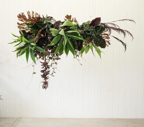 String Garden, Banana Flower, Flower Installation, Hanging Garden, Plants Flowers, Banana Leaf, Plant Design, Green Wedding, All Plants