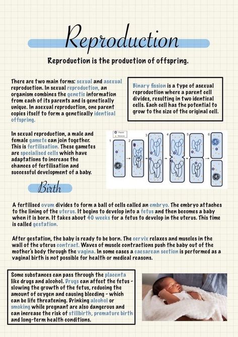 Reproductive System Notes, Reproduction In Animals, Nursing School Studying Cheat Sheets, Human Reproduction, Gcse Biology, Biochemistry Notes, Learn Biology, Science Revision, Biology Revision