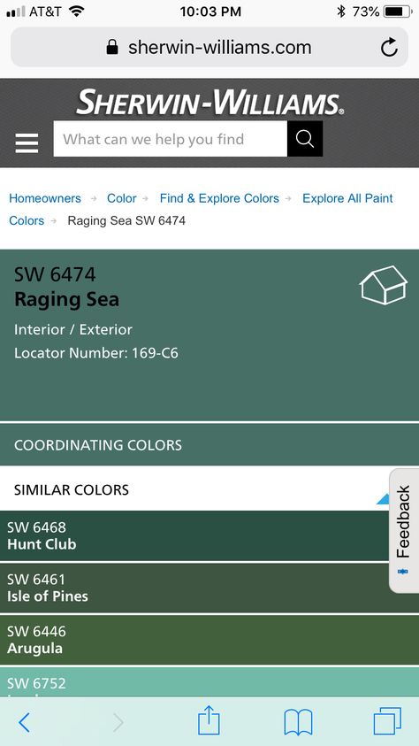 Sherwin Williams Raging Sea, Raging Sea, Raging Sea Sherwin Williams, Hunt Club, Living Room Colors, Sherwin Williams, Florida Home, Coordinating Colors, Room Colors