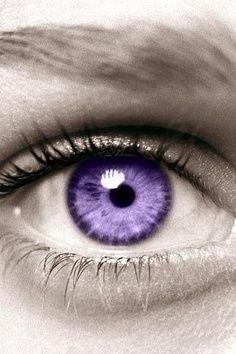 Purple Contacts, Violet Eyes, Windows To The Soul, Contact Lenses Colored, All Things Purple, Purple Eyes, Colored Contacts, Eye Contact, Pretty Eyes