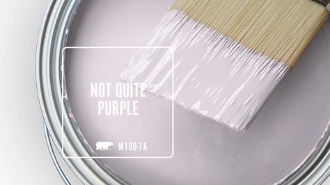 NOT QUITE PURPLE M100-1A | Behr Paint Colors Pink Purple Paint, Light Purple Paint, Purple Paint Colors, Behr Paint Colors, Dream Painting, Purple Rooms, Behr Paint, Purple Paint, Room Colors