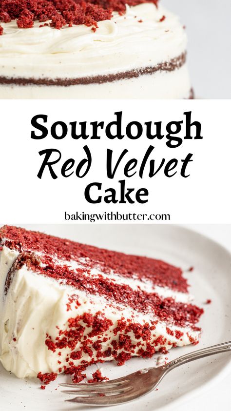 Sourdough Discard Bundt Cake, Recipes Using Sourdough Starter, Sourdough Cake, Sourdough Dessert, Sourdough Desserts, Using Sourdough Starter, Recipe Using Sourdough Starter, Sourdough Starter Recipes, Red Velvet Cake Recipe