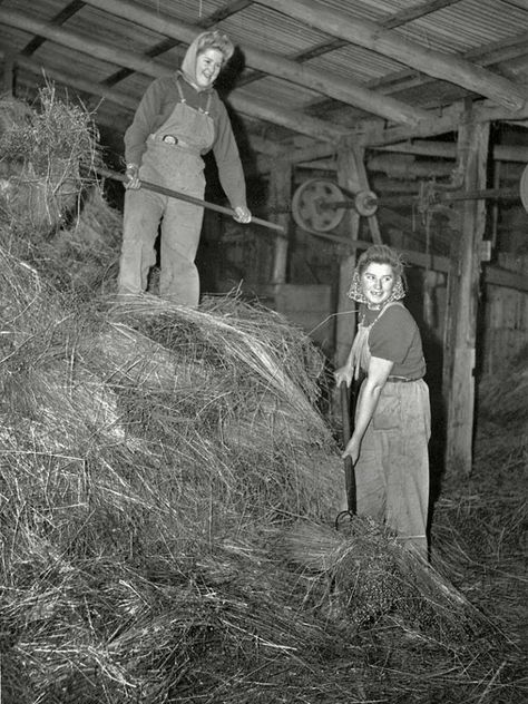 Women's Land Army, Army Girls, World Wars, Land Girls, Farm Boys, Farmer Wife, Historical Images, Army Girl, Vintage Farm